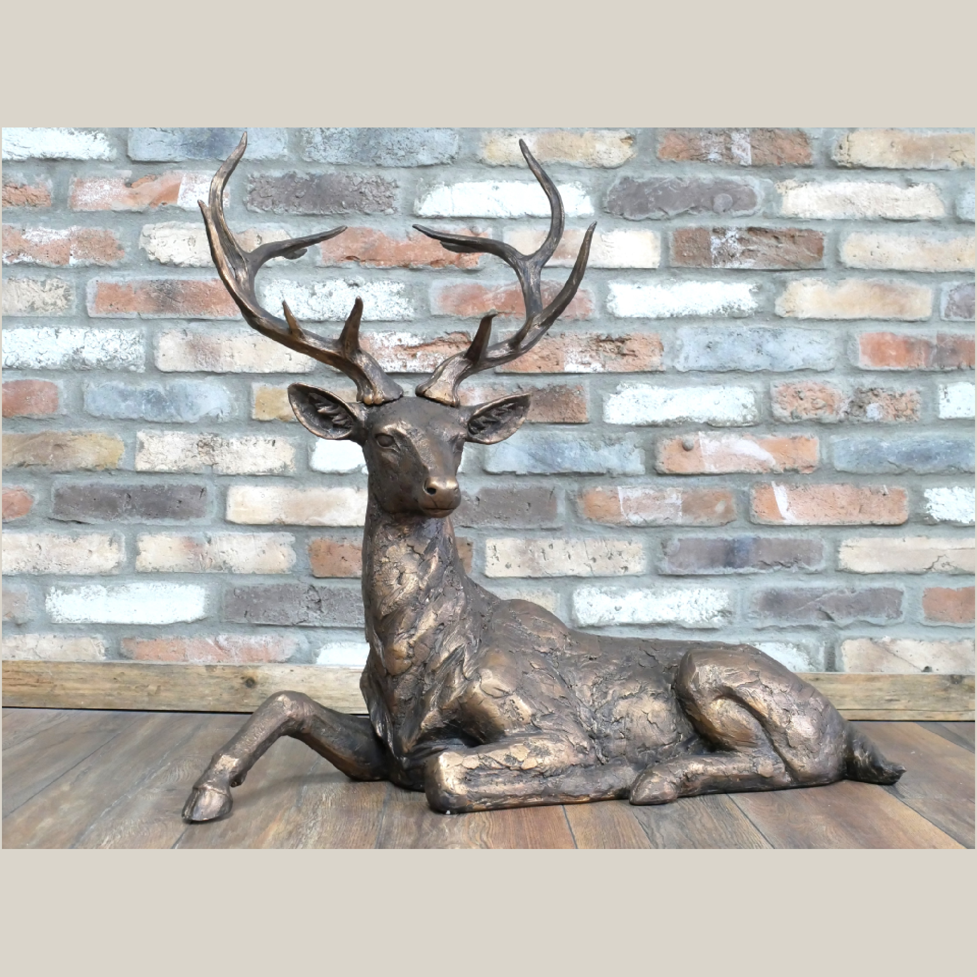 LAYING STAG